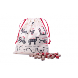 Game Pictocraft