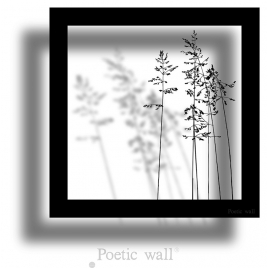 Sticker frame shadow The Sensitives