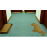 Door mat "Good Dog"