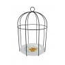 bird feeder Cage