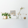 Wall shelves Duplex