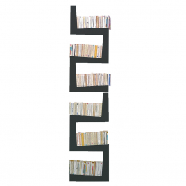 TwoSnake bookcase