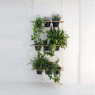 Mur et Cloison végétale Etcetera - Design Vincent Vandenbrouck pour Compagnie sur LaCorbeille.fr