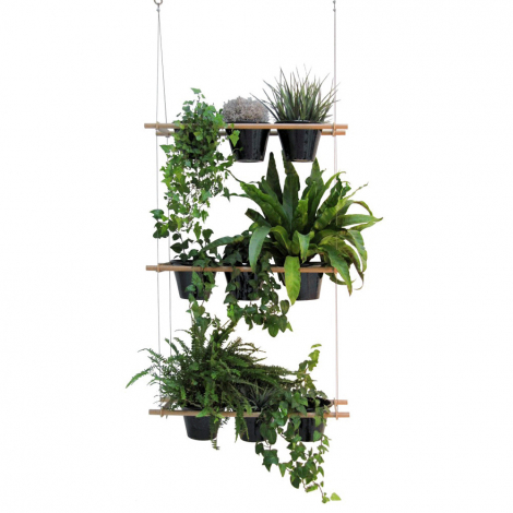 Vegetable curtain Etcetera