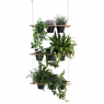 Vegetable curtain Etcetera