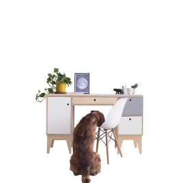 Wood design Desk with storages
