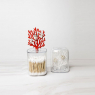 Container with coral