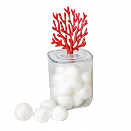 Container with coral