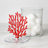 Container with coral