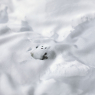 Bed linen "Snow" for 1 or 2 places by the brand Hayka on LaCorbeille.fr