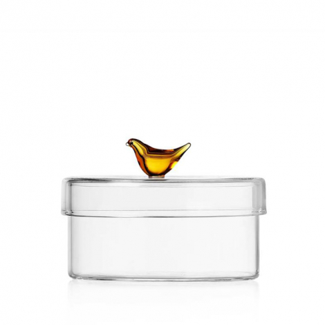 Boite transparente BIRD design Ichendorf