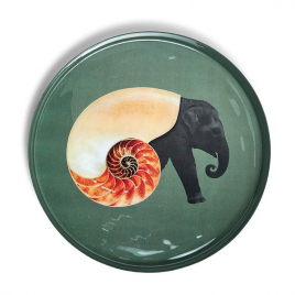 Shellephant round tray