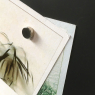 Magnetic blackboard + SHELF Photo Holder + 4 magnets