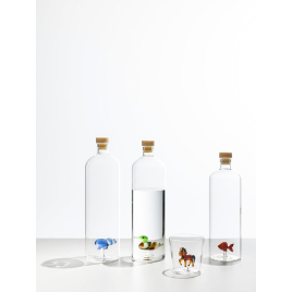 Bouteille transparente Hippo par Ichendorf sur LaCorbeille.fr