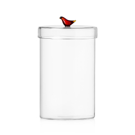 Boite transparente BIRD design Ichendorf