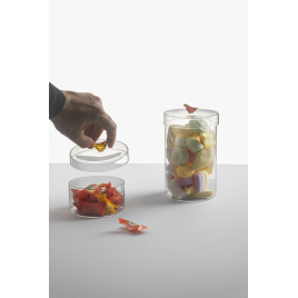 Boite transparente BIRD design Ichendorf