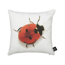 Coussin Coccinelle de la marque By Nord sur LaCorbeille.fr