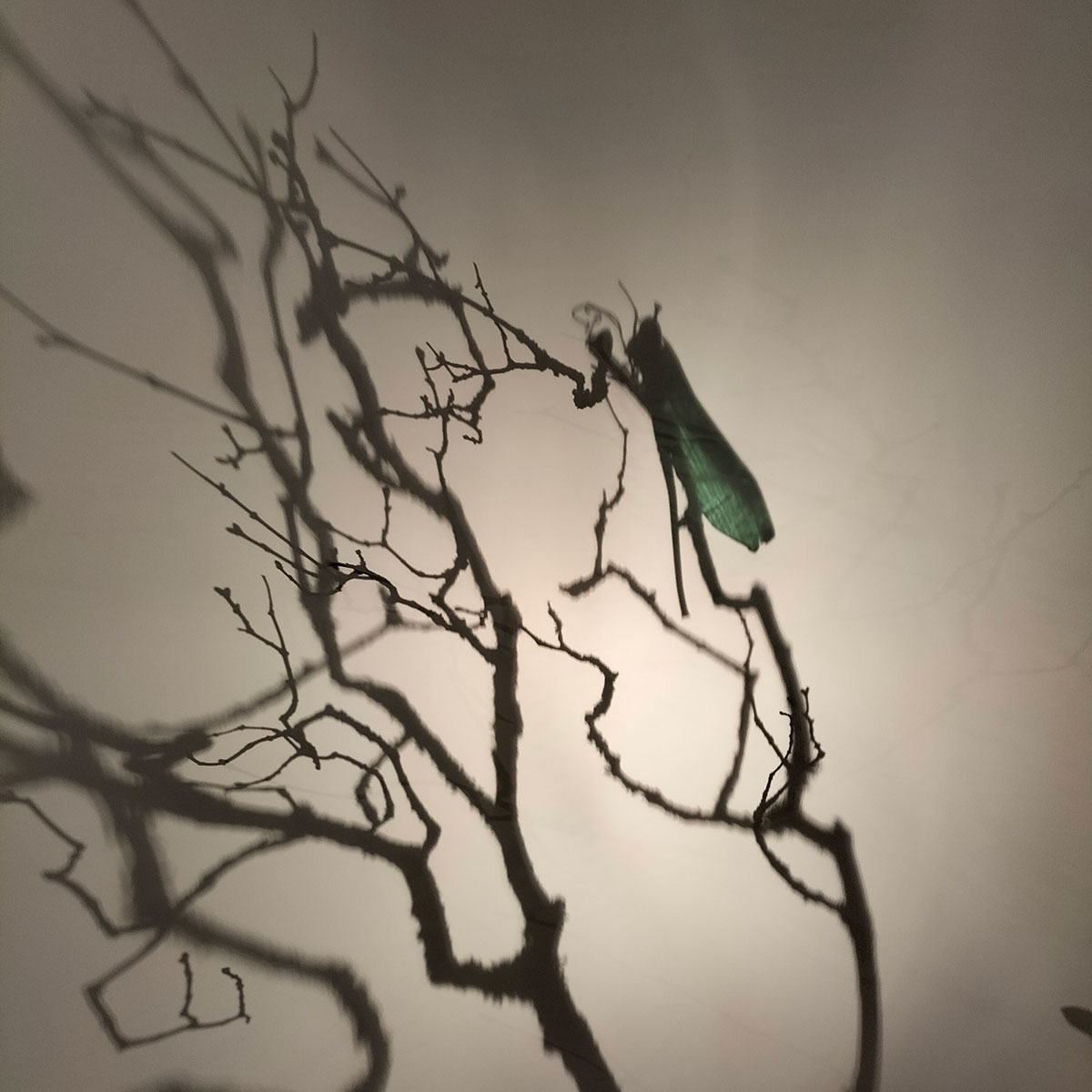 Mise en scène lumineuse dans l'exposition Leisure by François Bernard